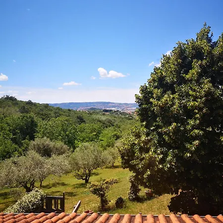 Apartma Rok Plavje Exterior foto